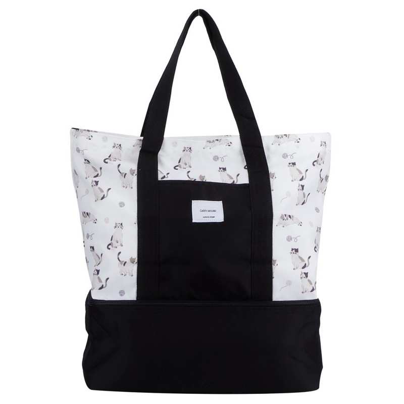 Isoliert Einkaufen Tasche
